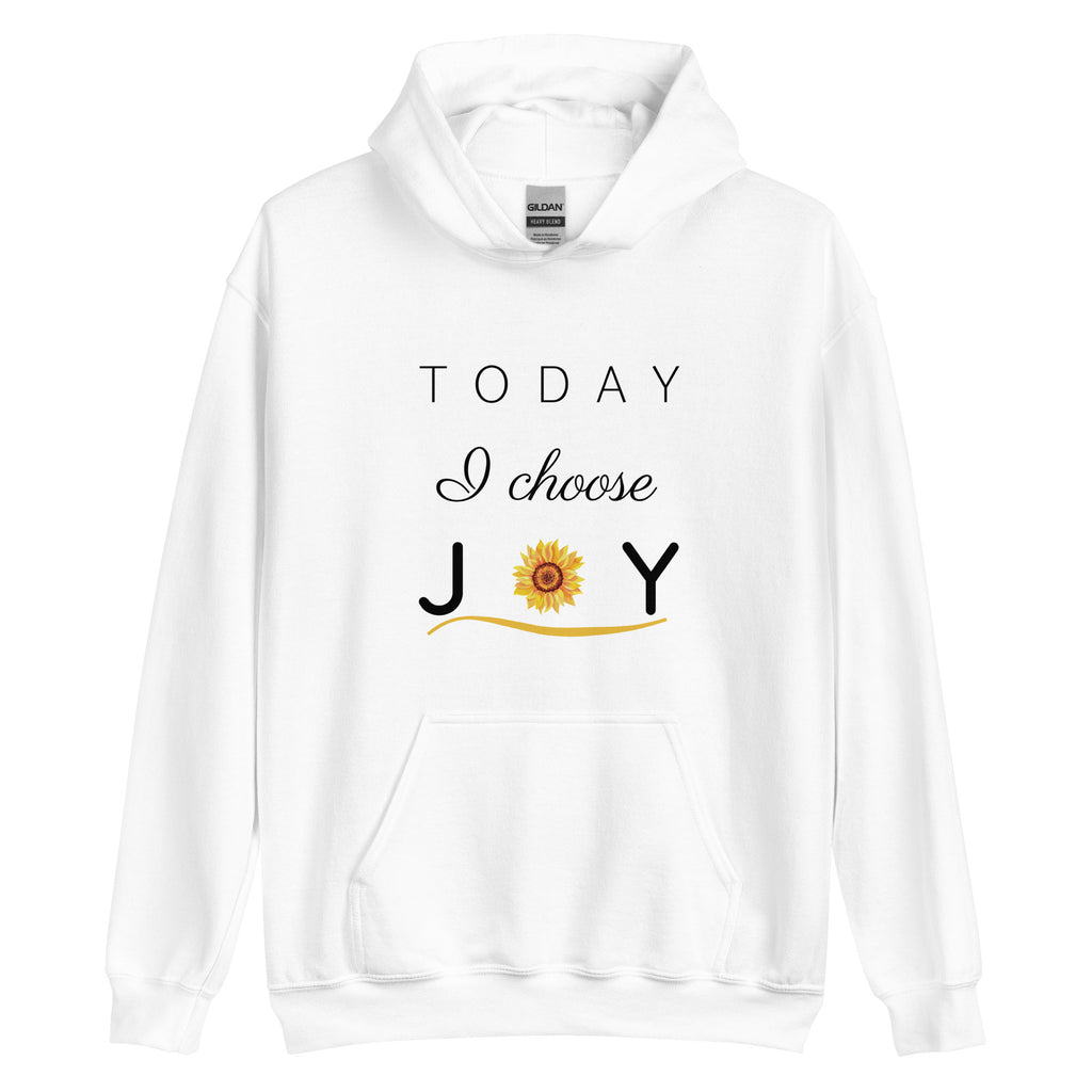 Today I Choose Joy Hoodie (Several Colors Available)